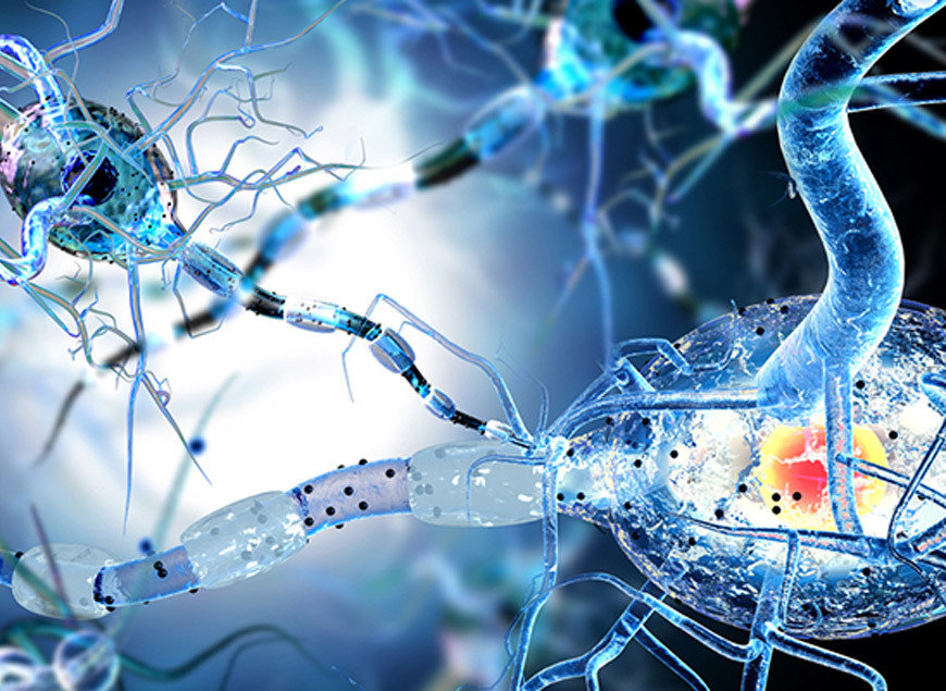 Is Stem Cell Treatment Safe and Effective for Treating Multiple Sclerosis