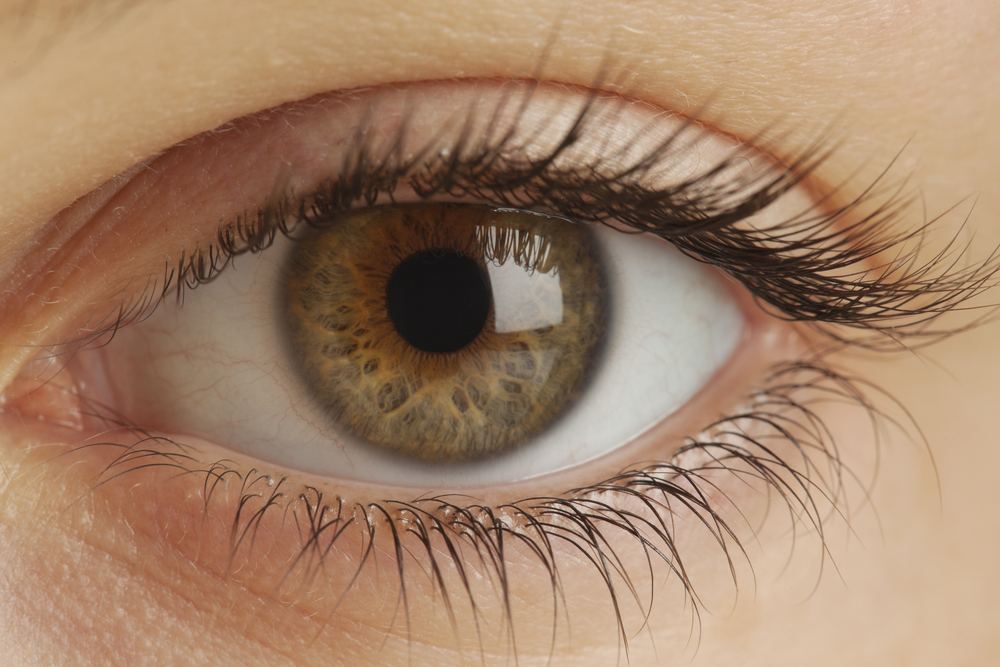 Eye stemcell treatment